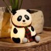 USB Rechargeable Panda Night Lamp