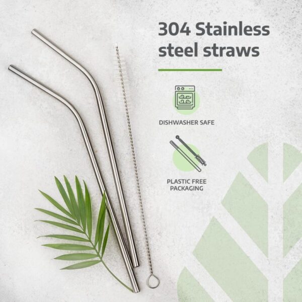 Steel-Straw2-1678955218 Premium Stainless Steel Drinking Straw Set